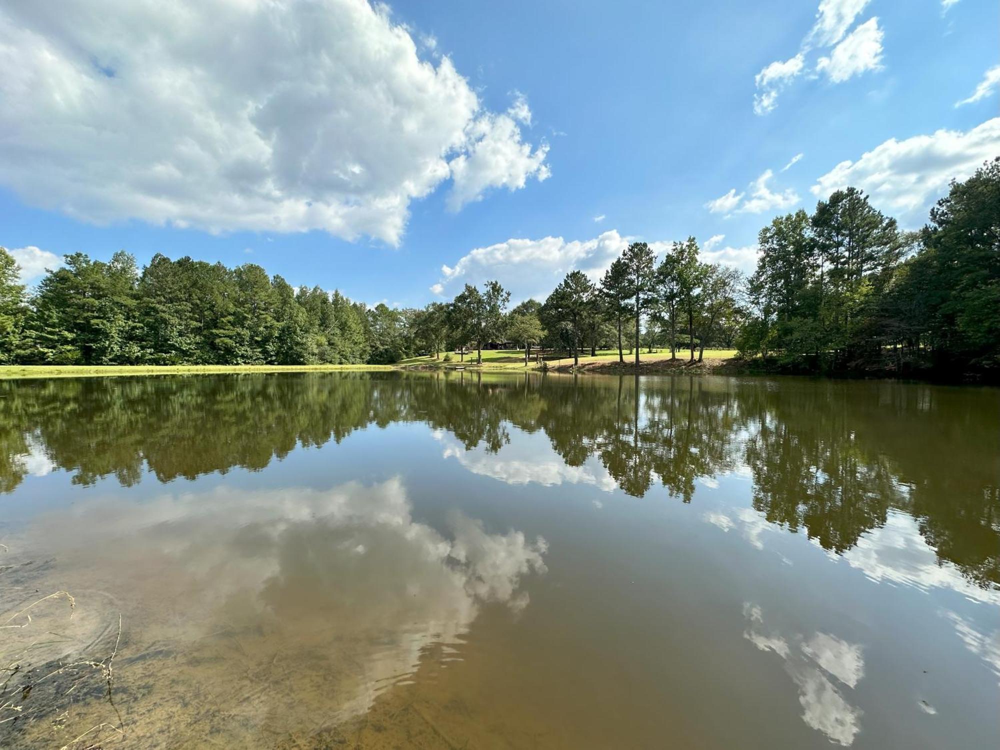 Refuge Ranch Retreat Log Cabin Lake 53+ Acres Локуст-Гров Экстерьер фото